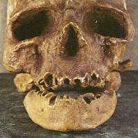 cromagnon 20kb