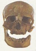cromagnon 13kb
