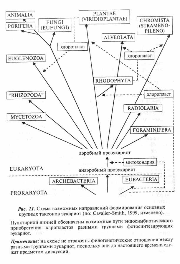 Рис 11