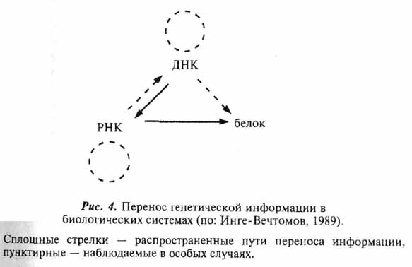 Рис 4