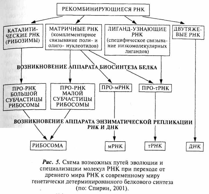 Рис 5