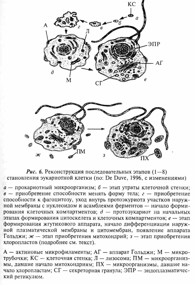 Рис 6